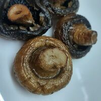 Шашлык из грибов в У сяброу