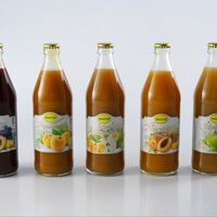 Сок натуральный Могох Дагестанский в Кафе Рахат халяль
