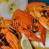Раки вареные с яблоками и лимоном в Раковарня Две клешни по цене 4385
