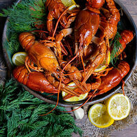 Логотип РАКОВАРЪ