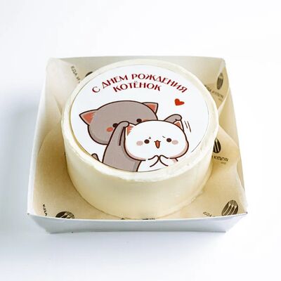 Бенто фотопечать С днем рождения, котенок в Горький 1932 по цене 2100 ₽