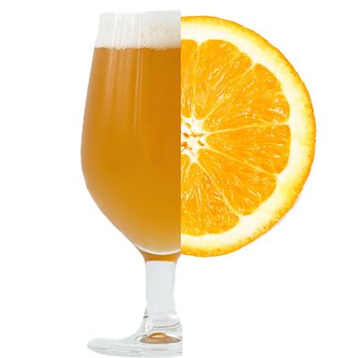 Пиво безалкогольное Caspary Citrus в CASPARY BRAU по цене 400 ₽