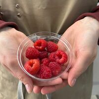 Малина свежаяв Mosberry
