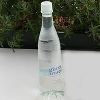 Ginza Water негазированная в ЛарисуВаннуХочу
