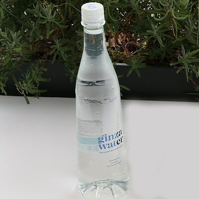 Ginza Water негазированная в ЛарисуВаннуХочу по цене 220