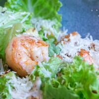 Салат с креветками, вялеными томатами и соусом тоннато в Gino Cafe