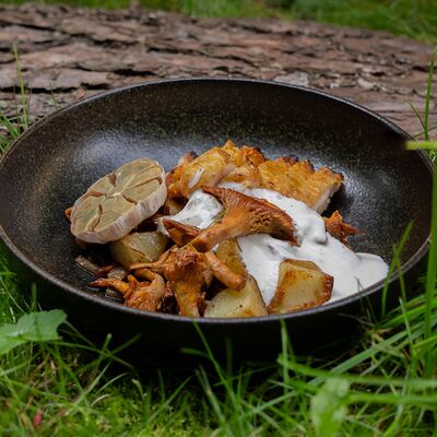 Цыпленок на мангале с лисичками и картофелемв Грузинскоебистро Каха по цене 694 ₽