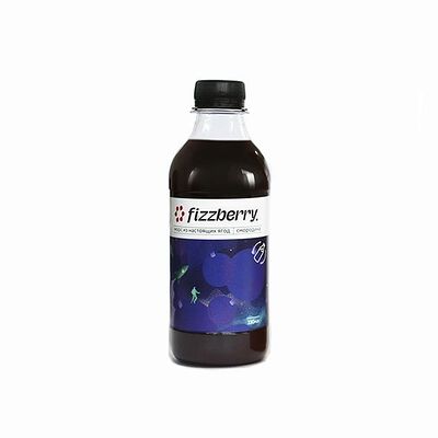 Морс из ягод чёрной смородины fizzberry в Папины пироги по цене 80 ₽
