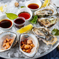 Логотип Oysters