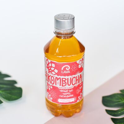 Комбуча Lava на черном чае (Чабрец, саган-дайля) в Pokemania по цене 279 ₽