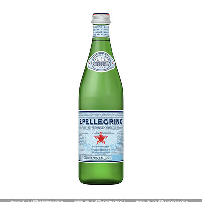 San Pellegrino 0.25 в Блеск по цене 240