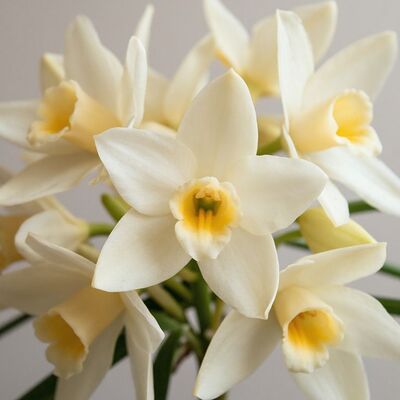 Сироп для кофе 