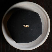 Koji мочи голубика в KOJI