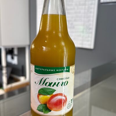 Дагестанский сок Могох Манго с мякотью в Мясо на мангале по цене 170 ₽