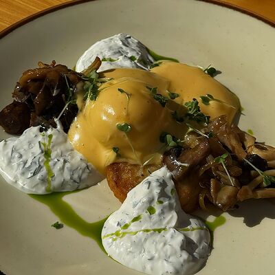 Драники с грибами в Kvartal по цене 690 ₽