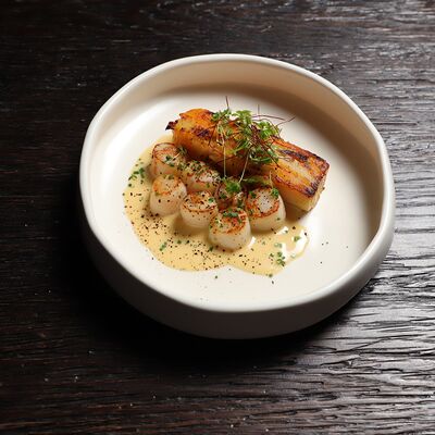 Гребешки, гратен, бер-блан в MIDSUMMER по цене 1750 ₽