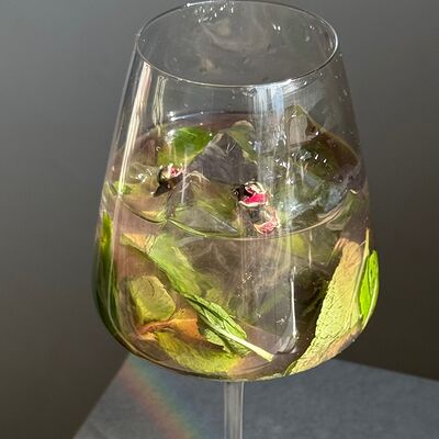 Лимонад Анчан-роза-лайм в Greece по цене 380 ₽