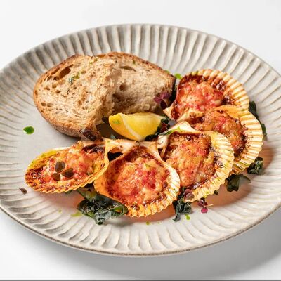 Запечённые гребешки с креветками и кальмаром на створкев SAGA по цене 690 ₽
