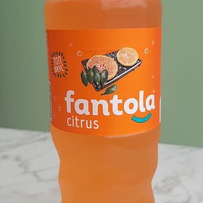 Газированный напиток Fantola Citrus в Еда гриль по цене 95 ₽