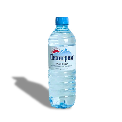Вода Пилигрим н/газ в BBQ по цене 137 ₽
