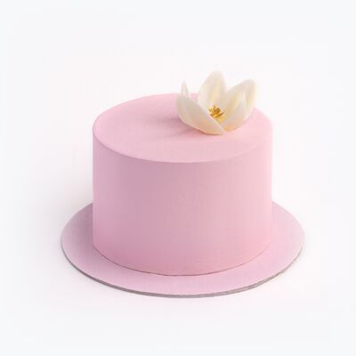 Бенто - Торт Весна в Udcкафе Upside Down Cake по цене 1700 ₽