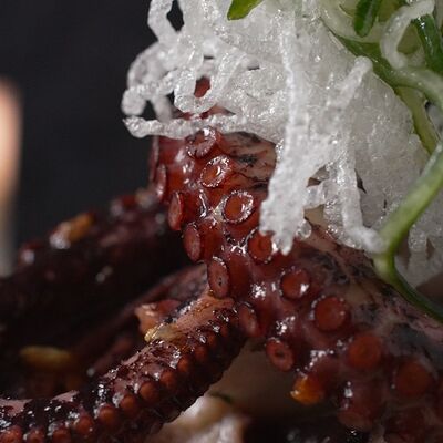 Щупальца гигантского осьминога в греческом стиле в Tre/Quarti по цене 1790 ₽