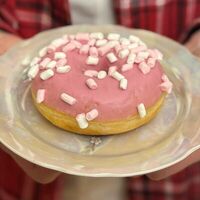Донат с посыпкой маршмеллоув Mosberry