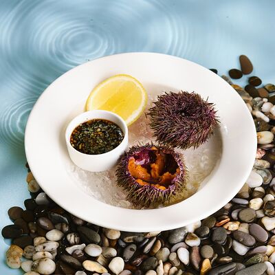 Морской еж в Острова по цене 290 ₽
