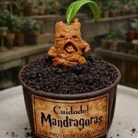 Mandragoras в Hustle Bar & Cafe