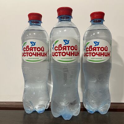 Святой источнийк в Стрит-Фуд атрон по цене 70 ₽