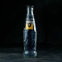 Tonic в ЛарисуВаннуХочу
