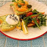 Крок Салмон в Iris