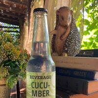 Beverage Tonic №4 Огурец в Hedgehog in the Fog