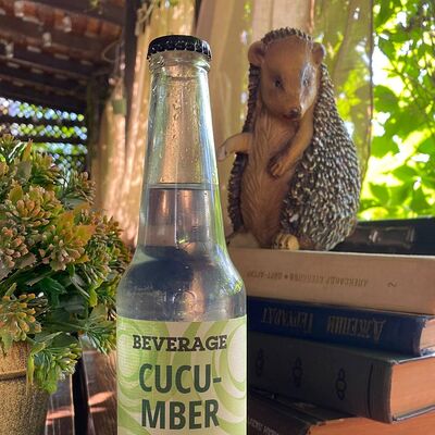 Beverage Tonic №4 Огурец в Hedgehog in the Fog по цене 220 ₽