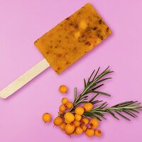 Замороженный натуральный чай РозмаринТи с облепихой и розмарином в Vibecream мороженое