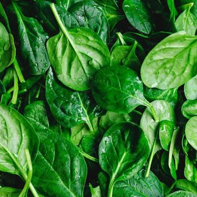 Шпинат в Есть на море по цене 120 ₽