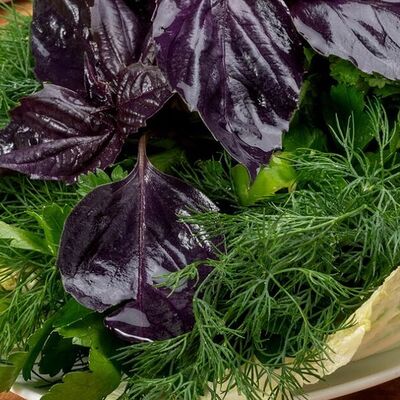 Ассорти из свежей зелени в ШАШЛЫК & BBQ по цене 1700 ₽