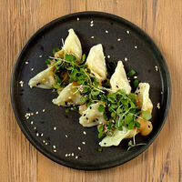 Гедза с курицей в SUBZERO