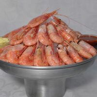 Магаданские креветки на льду в Будвар