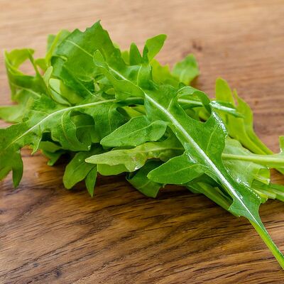 Листья салата руккола в VASILCHUKI Chaihona №1 по цене 110