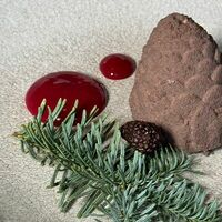 Новогодняя шишка в More More