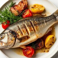 Сибас в Ракушка