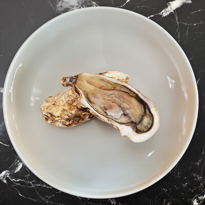 Устрица императорская средняя в Вкусноморье по цене 450 ₽