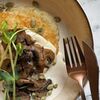 Драники с кешью-сметаной и грибами в Veg Harmony Cafe по цене 25