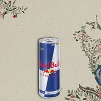 RedBull в Мияби