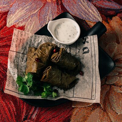 Долма с соусом мацони и эстрагоном в Грузинскоебистро Каха по цене 754 ₽