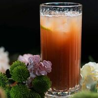 Натуральный лимонад черника с фейхоа в More More