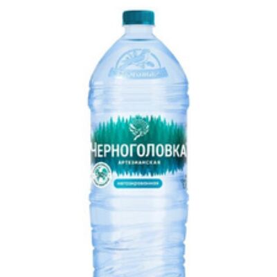 Вода Черноголовка в Scandy park по цене 150 ₽