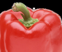 Красный перец в La pizza bomba