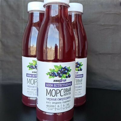 Морс Черная Смородина 450 мл в ГансРолл по цене 275 ₽